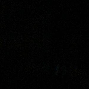 Meet your Posher, Rhett